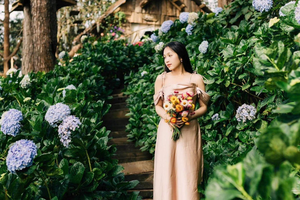 Khoảnh khắc bạn hòa mình vào thiên nhiên giữa những đóa cẩm tú cầu bung nở tạo nên bức tranh thơ mộng